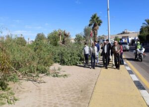 أعلام الدول المشاركة في "منتدي شباب العالم" ترفرف في سماء شرم الشيخ 23 - جريدة المساء