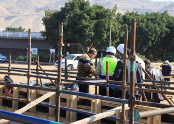 محطة معالجة صرف صحي عرب المدابغ أول محطة على تعمل بنظام المعالجة الثلاثية المتطورة 29 - جريدة المساء