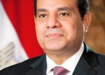 السيسي يهنئ رئيس مجلس السيادة في السودان بذكرى يوم الاستقلال 29 - جريدة المساء