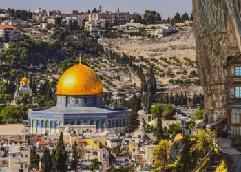 "أهل الحي".. أحدث إطلالات الأديب محمد نصر صالح 17 - جريدة المساء