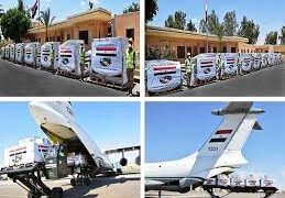 مصر ترسل مساعدات طبية لجمهورية تنزانيا الإتحادية 1 - جريدة المساء