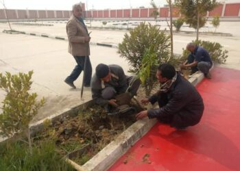 زراعة 3660 شجرة بـ "جهينة" ضمن فعاليات مبادرة " أحلى وهى خضرة " بسوهاج 19 - جريدة المساء