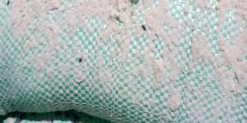 ضبط طن مدعم غير صالح للاستهلاك الآدمى داخل أحد المخابز بالإسكندرية 9 - جريدة المساء