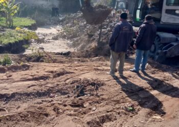 إزالة 13 حالة تعد على أراضي حماية النيل بمساحة 1337 مترا بأسيوط 17 - جريدة المساء