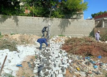 استمرار الحملات المكبرة لإزالة التعديات علي أراضي أملاك الدولة بالاسكندريه 33 - جريدة المساء