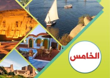 جمعية جنوب الصعيد للتدخل الجراحي تعقد مؤتمرها الخامس بأسوان .. 19 فبراير 20 - جريدة المساء