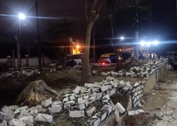 حملات بالاحياء لازاله التعديات علي املاك الدوله 32 - جريدة المساء