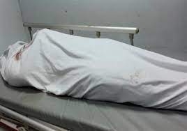 فى كفرالشيخ مصرع أستاذة جامعية وصاحب عربة كارو على رافد الطريق الدولي 26 - جريدة المساء