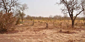 المغرب أولي ضحايا التغيرات المناخية.. وتكلفة الجفاف الشديد تزيد عن مليار دولار!! 1 - جريدة المساء