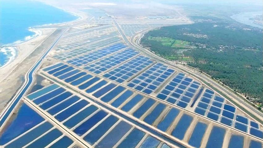 الأقمارالصناعية العلمية تكذب شائعة جفاف 50 % من أحواض بركة غليون !! 19 - جريدة المساء