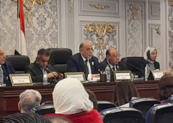 "تضامن النواب" واتحاد الجمعيات الأهلية يناقشان استراتيجية العمل الأهلي 2022 26 - جريدة المساء