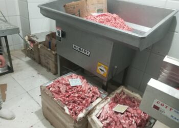 ضبط 5846 كيلو لحوم وكبدة مجمدة غير صالحة للاستهلاك الآدمى بكفر الشيخ 17 - جريدة المساء