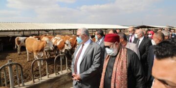 "مصر الخبر" والزراعة والبنك الزراعى يسلمون عجلات عشار لصغار المربيين 2 - جريدة المساء "مصر الخبر" والزراعة والبنك الزراعى يسلمون عجلات عشار لصغار المربيين 1 - جريدة المساء