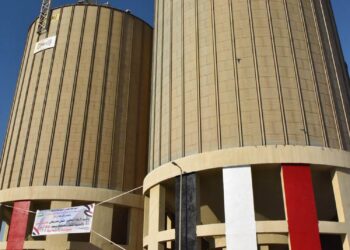 المصيلحي تفقد صوامع الصعيد وتأكد من توافر الأقماح 17 - جريدة المساء