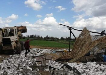 إزالة التعديات على الاراضى الزراعية بالعامرية 19 - جريدة المساء