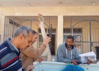 ضبط ٩٠ كيلوجرام دواجن منتهية الصلاحية بالغردقة  20 - جريدة المساء