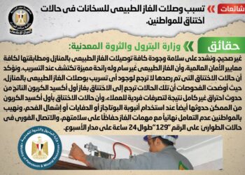 وزارة البترول تؤكد على سلامة وجودة كافة توصيلات الغاز الطبيعي بالمنازل 20 - جريدة المساء