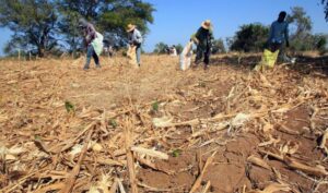 المغرب أولي ضحايا التغيرات المناخية.. وتكلفة الجفاف الشديد تزيد عن مليار دولار!! 21 - جريدة المساء