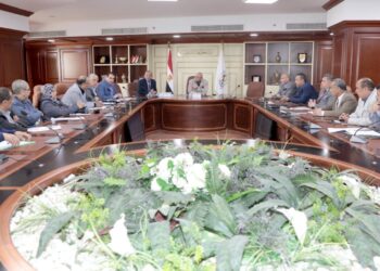  600 مليون جنيه لتنفيذ مشروعات الخطة الاستثمارية ببنى سويف 23 - جريدة المساء