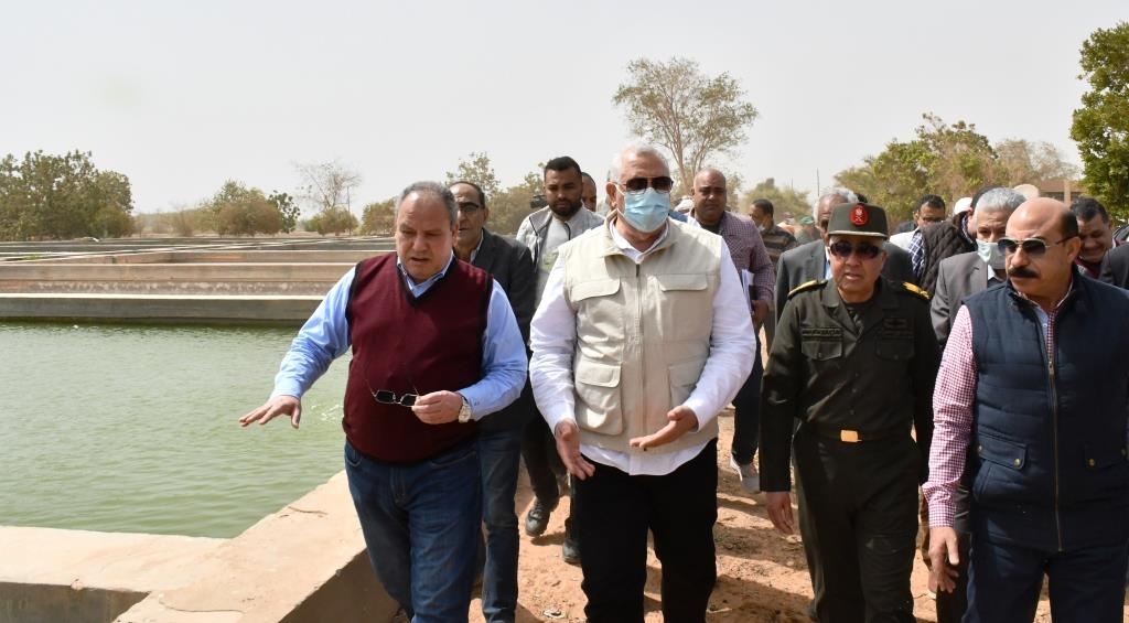 وزير الزراعة ومحافظ أسوان يتفقدان المفرخات السمكية بجرف حسين وصحارى 18 - جريدة المساء
