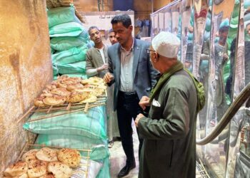 حملات مستمرة على الأسواق من اللجان المشتركة في اسوان 17 - جريدة المساء