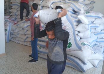 التحفظ علي 35 طن دقيق ومصادرة 3 طن نخالة ناعمة و 18 طن أعلاف بأسيوط 24 - جريدة المساء