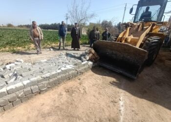 ازالة ثلاثة مباني مخالفة على اراضي زراعية بالعامرية ثان 23 - جريدة المساء