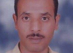 محمد فاوى مديرا عاما للدراسات العليا المركزية بجامعة جنوب الوادى فرع الغردقة 1 - جريدة المساء