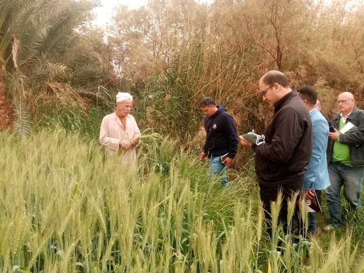 وفد رواد النيل الزراعية يشيد بمشروعات الوادى الجديد الانتاجية 19 - جريدة المساء