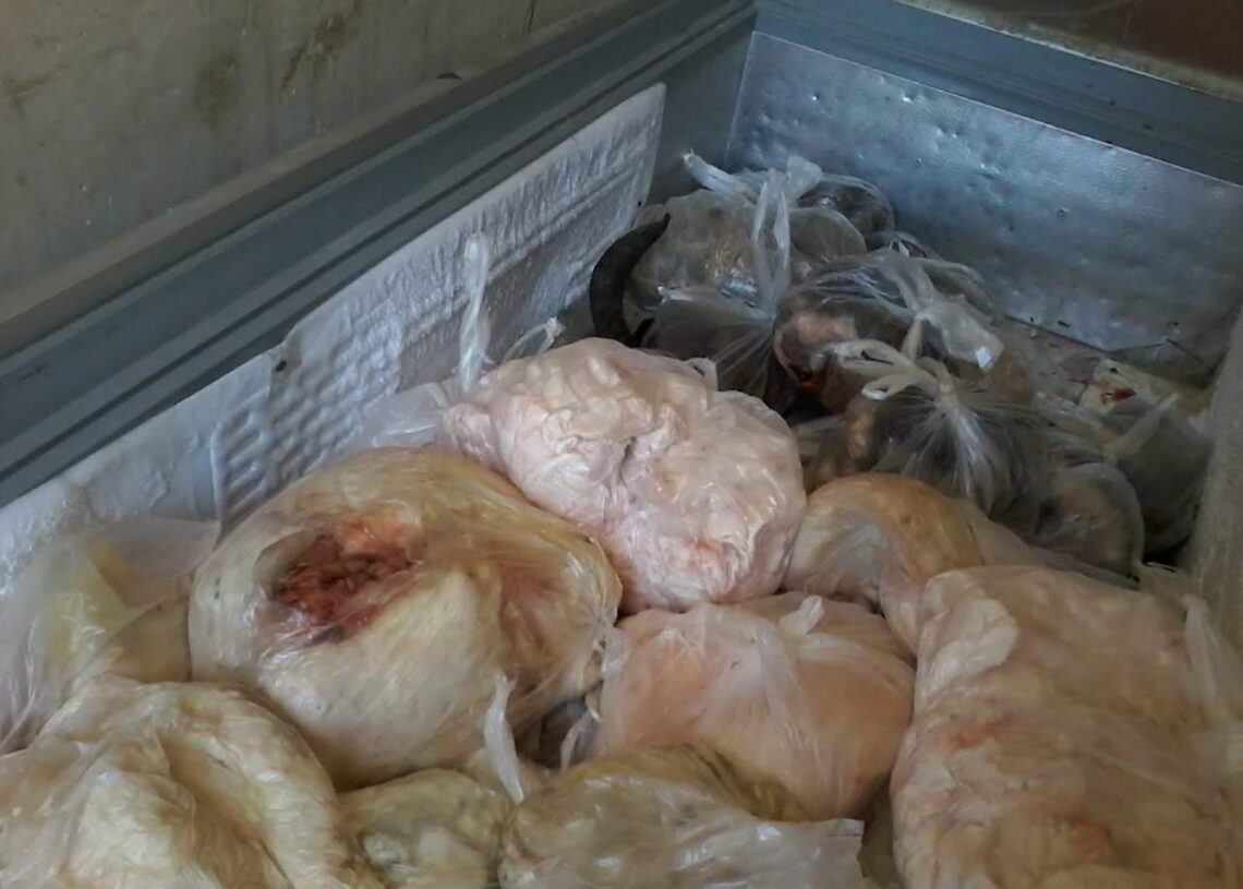 محافظة الإسكندرية: تحرير41 محضر خلال 32 حملة رقابية 17 - جريدة المساء