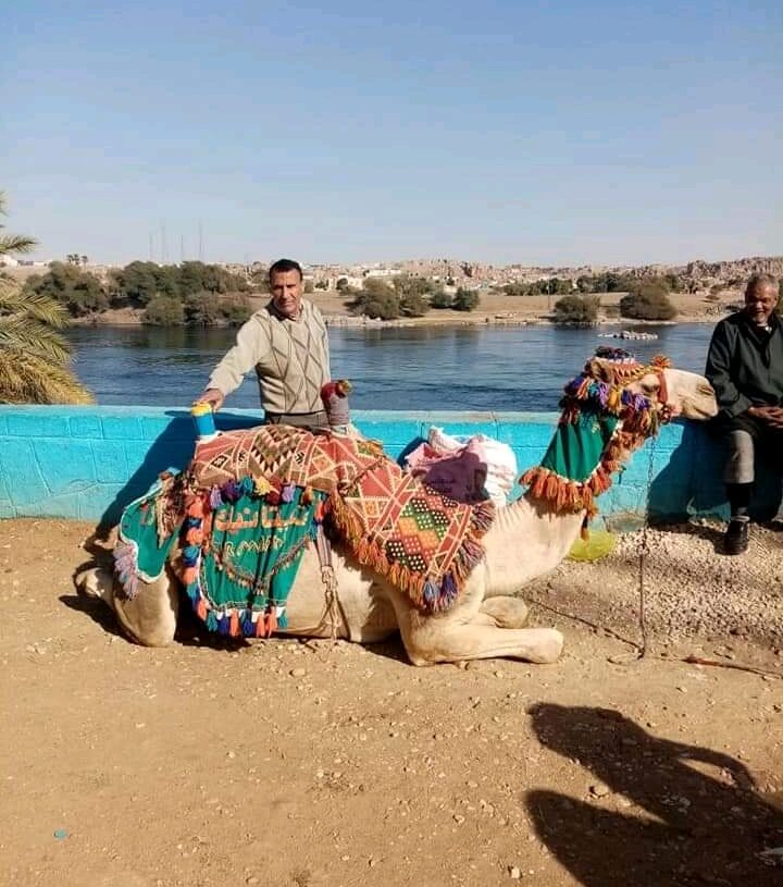 البيت النوبي 19 - جريدة المساء