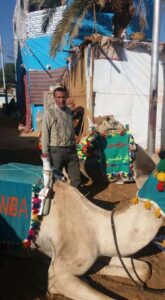 البيت النوبي 25 - جريدة المساء