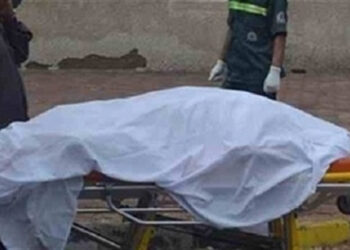 مصرع سيدة تحت عجلات سيارة طائشة بالمنيا 20 - جريدة المساء