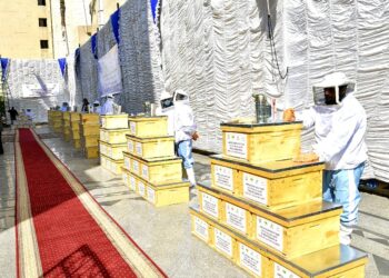 وزيرة التضامن تسلم 1000 خلية نحل للأسر الأولى بالرعاية فى الغربية بـ1.5 مليون جنيه 26 - جريدة المساء