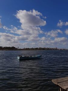 إبداعات فوتوغرافية جديدة للفنانة زينب جوهر 27 - جريدة المساء