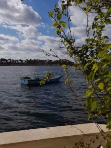 إبداعات فوتوغرافية جديدة للفنانة زينب جوهر 23 - جريدة المساء