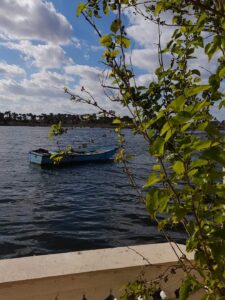 إبداعات فوتوغرافية جديدة للفنانة زينب جوهر 22 - جريدة المساء إبداعات فوتوغرافية جديدة للفنانة زينب جوهر 21 - جريدة المساء