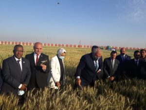 على هامش حضوره اجتماع المجلس الأعلى للجامعات .. رئيس جامعة الأقصر يشهد افتتاح عدد من المنشآت بالوادى الجديد 27 - جريدة المساء