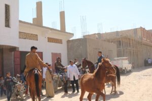 جامعة جنوب الوادى تنظم قافلة بيطرية بقرية "العمرة" 24 - جريدة المساء جامعة جنوب الوادى تنظم قافلة بيطرية بقرية "العمرة" 23 - جريدة المساء