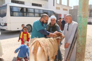 جامعة جنوب الوادى تنظم قافلة بيطرية بقرية "العمرة" 30 - جريدة المساء جامعة جنوب الوادى تنظم قافلة بيطرية بقرية "العمرة" 29 - جريدة المساء