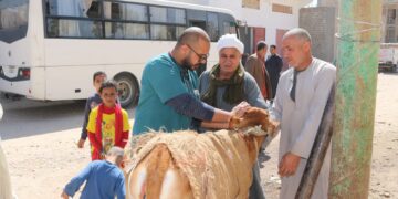 جامعة جنوب الوادى تنظم قافلة بيطرية بقرية "العمرة" 2 - جريدة المساء جامعة جنوب الوادى تنظم قافلة بيطرية بقرية "العمرة" 1 - جريدة المساء