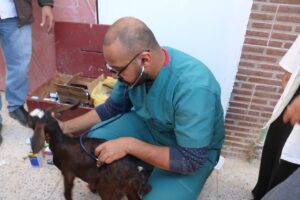 جامعة جنوب الوادى تنظم قافلة بيطرية بقرية "العمرة" 32 - جريدة المساء جامعة جنوب الوادى تنظم قافلة بيطرية بقرية "العمرة" 31 - جريدة المساء