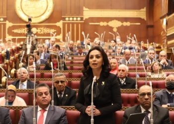 قومى المرأة ينفى صلته بحمله " ازاى تسرقى العفش.. وتحبسى جوزك" 28 - جريدة المساء