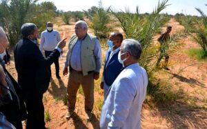 محافظ الوادى الجديد يُشيد بمنتجات "خوص الجيزة" ومزرعة "نخيل القلمون" بالداخلة 19 - جريدة المساء