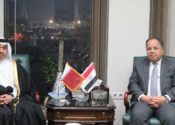 وزير المالية .. لنظيره القطرى: تهيئة مناخ جاذب للاستثمار في مصر 25 - جريدة المساء
