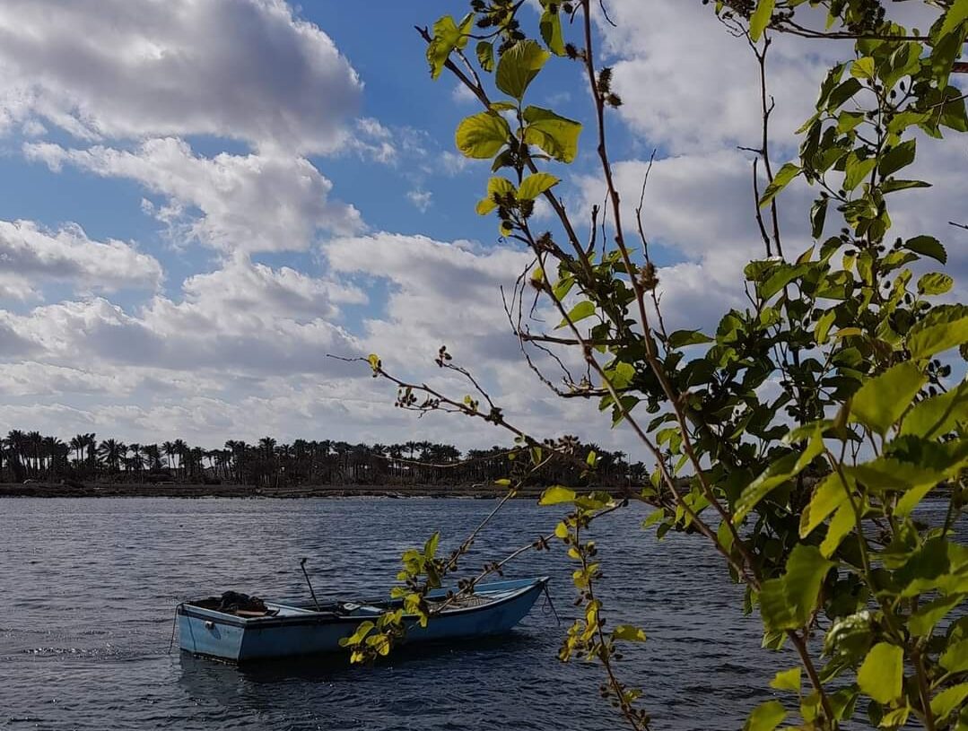 إبداعات فوتوغرافية جديدة للفنانة زينب جوهر 20 - جريدة المساء إبداعات فوتوغرافية جديدة للفنانة زينب جوهر 19 - جريدة المساء