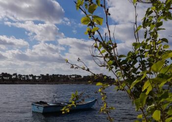 إبداعات فوتوغرافية جديدة للفنانة زينب جوهر 17 - جريدة المساء