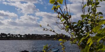 إبداعات فوتوغرافية جديدة للفنانة زينب جوهر 2 - جريدة المساء إبداعات فوتوغرافية جديدة للفنانة زينب جوهر 1 - جريدة المساء