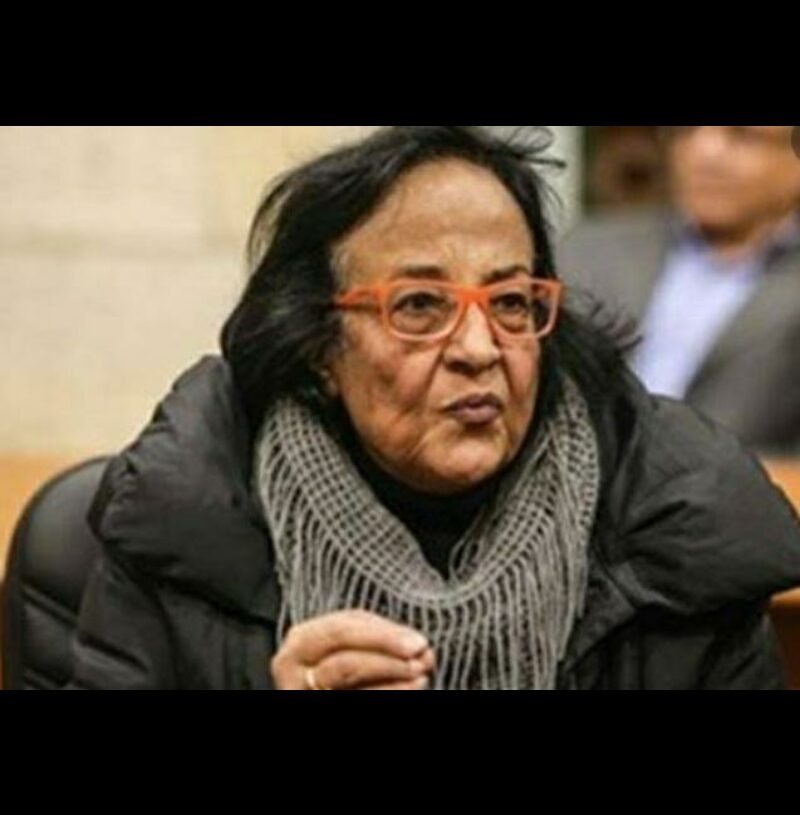 لميس جابر : السيسي عاشق لمصر .. ويتفانى من اجل ازدهارها وتقدمها 19 - جريدة المساء