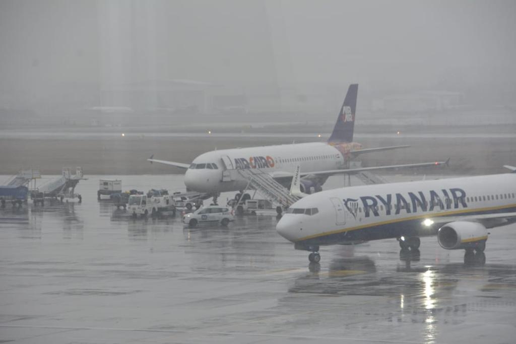 فيديو.. استقبال حافل وسعادة غامرة من المصريين بعد عودة طائرة "ايركايرو" وعلى متنها الطلاب المتواجدين فى رومانيا 20 - جريدة المساء فيديو.. استقبال حافل وسعادة غامرة من المصريين بعد عودة طائرة "ايركايرو" وعلى متنها الطلاب المتواجدين فى رومانيا 19 - جريدة المساء